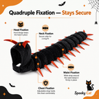 Spooky Cat
