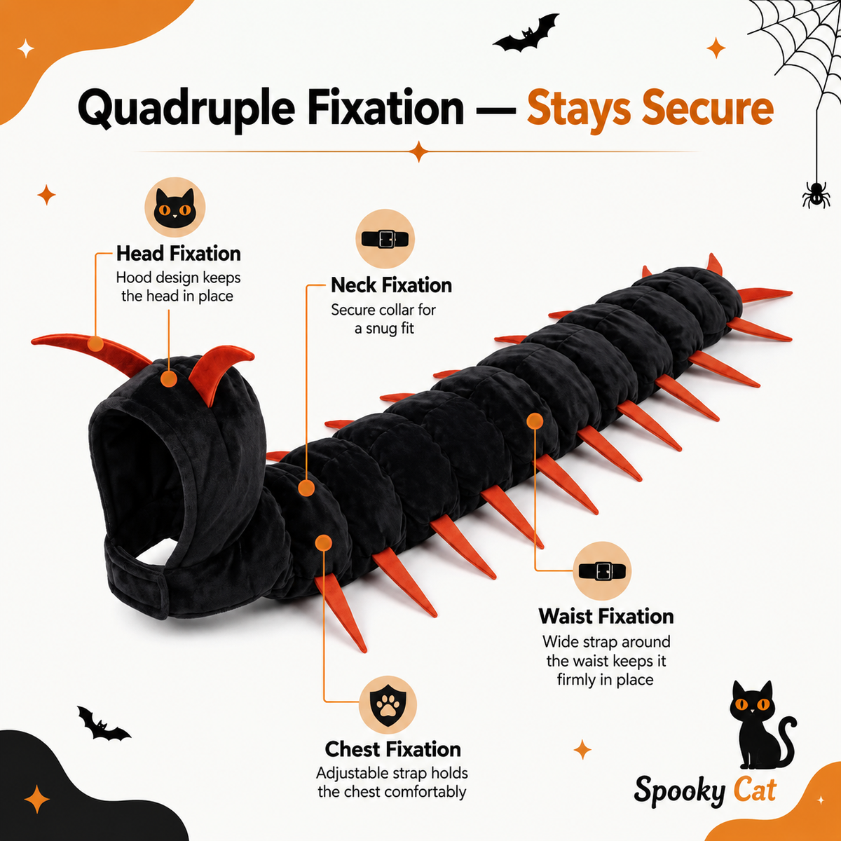 Spooky Cat